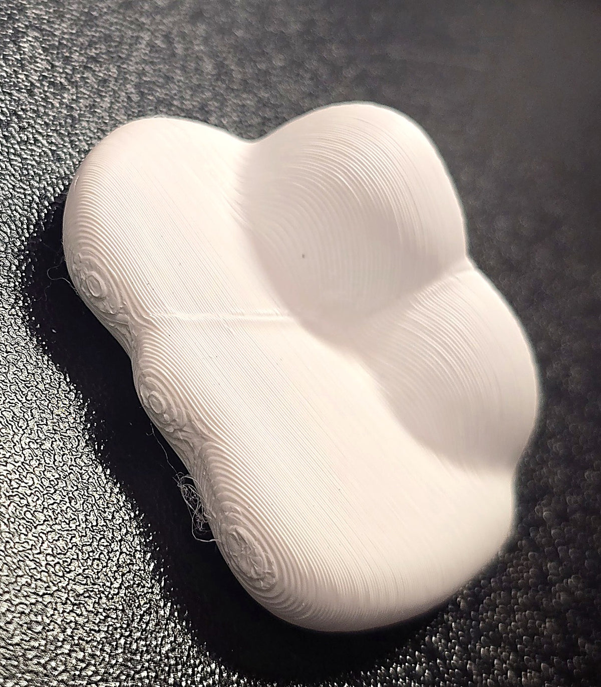 Cloud Shelf - top view of 3D-printed cloud-shaped perch for jumping spider enclosures