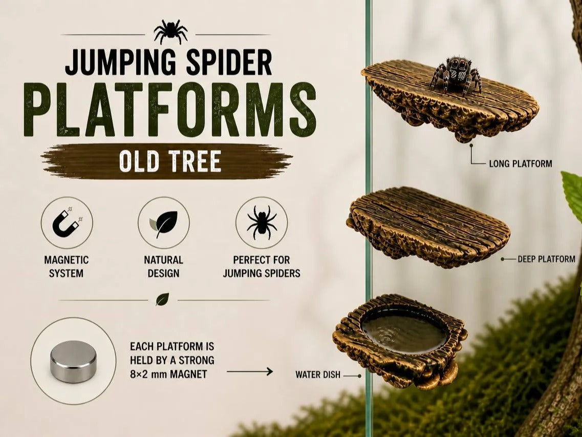 Spider Platforms - Old Tree design, magnetic mount diagram