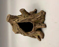 Root Hideout - magnetic root hideout for jumping spider enclosures