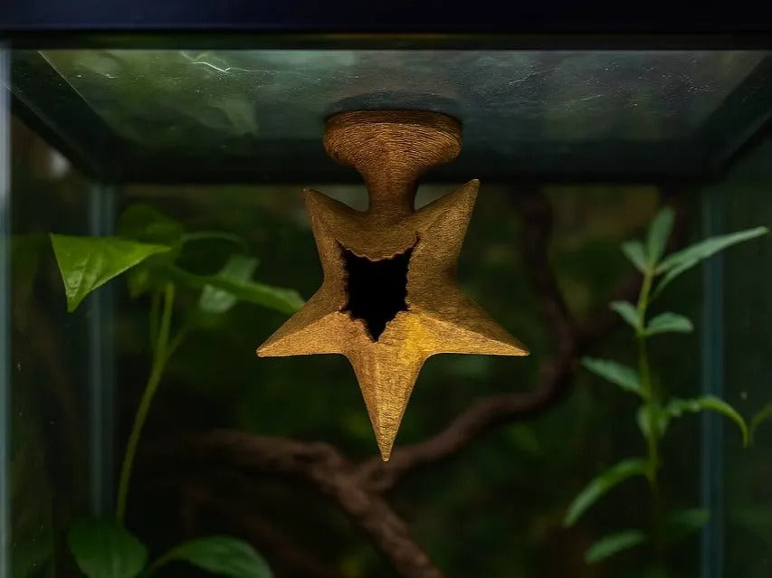 Star Hide - shown hanging inside a planted enclosure